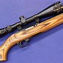 Image result for 22 Gun Rifle