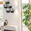 Image result for Wall Plant Hangers