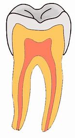 Image result for Dental Tooth Cartoon