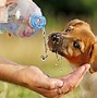 Image result for Pros and Cons About Drinking Water