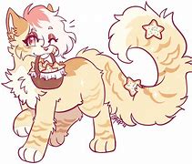 Image result for Funny Cookie Cat