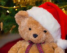 Image result for Bear Christmas Decorations