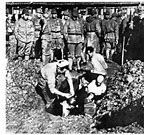 Image result for Nanking Massacre Death by Fire