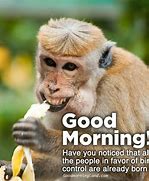Image result for Good Morning Funny Quotes