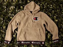 Image result for Red Sherpa Champion Hoodie