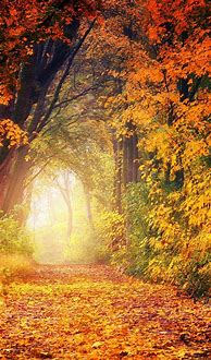 Image result for autumn wallpaper for kindle