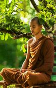 Image result for Tree Meditation Zen