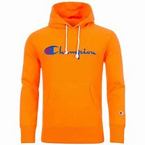 Image result for Champion Hoodie Slippers