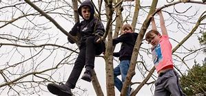 Image result for Person Hanging From Tree