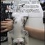 Image result for Funny Animal Memes Work-Related