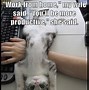 Image result for funniest meme cleaning animal