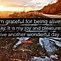 Image result for Happy to Be Alive Quotes