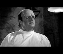 Image result for Young Frankenstein Mel Brooks