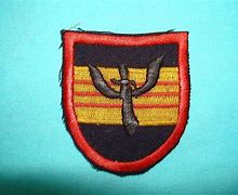 Image result for Army Special Forces Vietnam