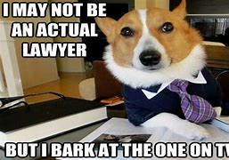 Image result for Puppy Lawyer