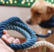 Image result for Dog Training Supplies