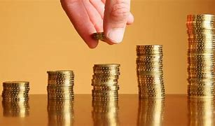 Image result for Investment Coins