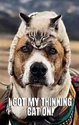 Image result for Funny Pet Messges