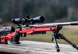 Image result for Most Accurate 22 Rifle