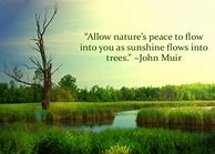 Image result for Nature Peace Quotes