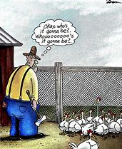 Image result for Chicken Cartoons Jokes