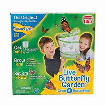 Image result for Butterfly Garden Kit