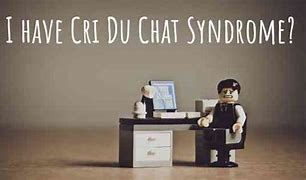 Image result for How Do You Know You Have CRI Du Chat