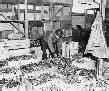 Image result for Buchenwald Inmates