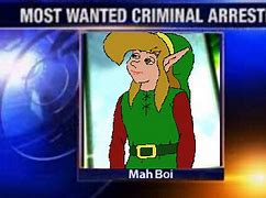 Image result for Wanted Criminal Form