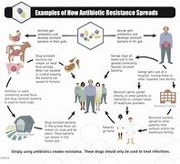 Image result for Superbug Antibiotic