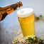 Image result for pils beers