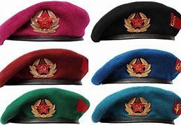 Image result for U.S. Army Beret Colors