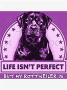 Image result for Rottweiler Pups