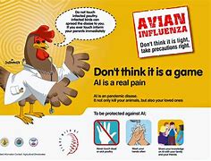 Image result for Bird Flu Prevention