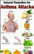 Image result for Asthma Treatment Diagram