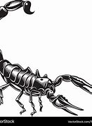 Image result for Scorpion Vector
