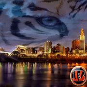 Image result for Cincinnati Bengals Zoom Background