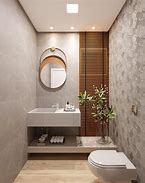 Image result for First Flushing Toilet