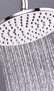 Image result for Exotic Shower Heads