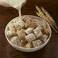 Image result for Frosted Mini-Wheats