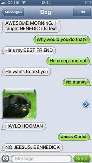 Image result for Humorous Texts for Friends