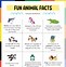Image result for Kids Fun Facts