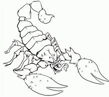 Image result for Robot Scorpion Coloring Pages