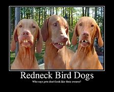 Image result for Redneck Dog