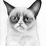 Image result for Cat Head Drawing