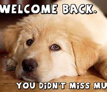 Image result for Welcome Funny Work Quotes