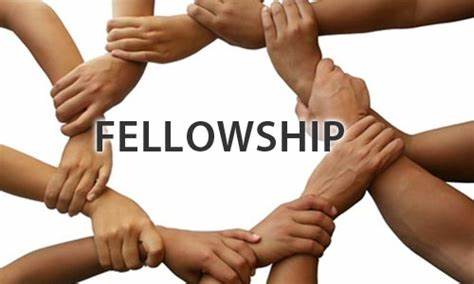 All About the University of Basel Nomis Fellowship 
