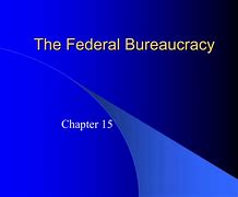 Image result for The American Bureaucracy