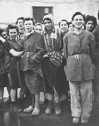 Image result for Concentration Camp Uniform Women