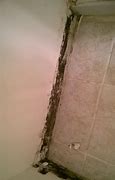 Image result for Black Mold in Bathroom